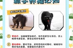 解决猫咬人问题的有效方法（保护人类安全，改善猫咪脾气的技巧）
