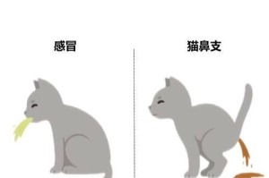 猫咪检测猫鼻支多少钱？（了解猫鼻支感染的症状和治疗方案）