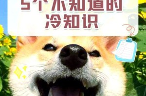 宠物狗能饿多久？（探究狗狗的饥饿耐受力）