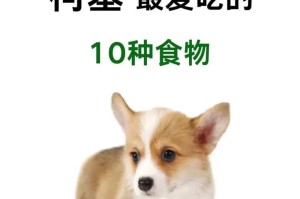 柯基与金毛犬的完美相处之道（如何让柯基与金毛犬和谐共处）