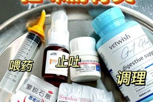 猫吃药多久见效？解析猫服药时间及注意事项（猫服药时间和注意事项）
