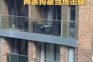 揭秘狗咬人的原因（为什么会发生狗咬人事件？如何预防狗咬人？）