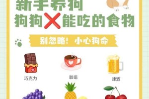 养狗从零基础到专家（从萌宠到忠实伙伴，如何正确喂养小奶狗？）