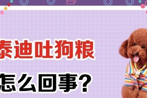 泰迪吐吃药指南（探索解决泰迪吐吃问题的方法和建议）