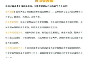 比格犬的喂食禁忌（细心照顾你的比格犬，避免喂食禁忌）