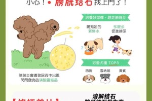 狗狗泌尿排石的有效药物选择（选择合适药物帮助狗狗顺利排出泌尿结石）