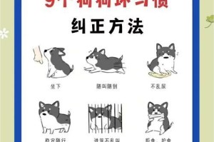 幼犬为什么拱主人的腿？（探究幼犬对主人腿的拱动行为原因）