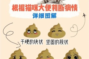 新生小猫的排便频率及注意事项（了解新生小猫的排便周期和健康关怀）