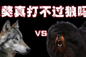 狗的天敌——揭秘与狗相斗的十大动物（不容小觑！这些动物是狗的天敌）