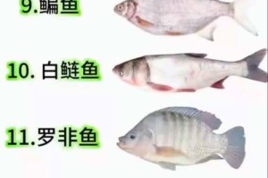 盘点12种最常见的淡水鱼，你钓过几种？（揭秘淡水钓鱼的乐趣和收获，挑战未见过的两种淡水鱼）