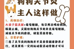 狗狗关节炎的康复之路（关节炎自愈时间及有效方法分析）