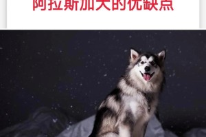 阿拉斯加犬成年需要多长时间？（探讨阿拉斯加犬成年的时间与相关因素）