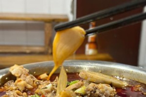 大垂耳兔可以多久不吃？（探究大垂耳兔的饮食需求与禁食能力）