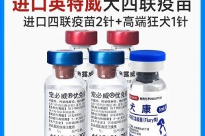 宠物狗打疫苗的时间安排（科学合理的疫苗接种计划，守护狗狗健康）