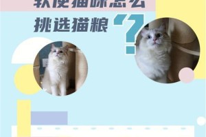 如何计算猫咪的食量？（猫粮计算公式及相关要点）