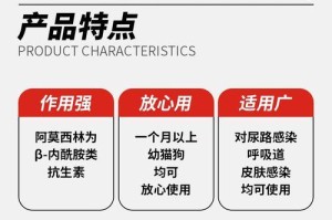 狗狗吃阿莫西林的用量应该是多少？（了解狗狗服用阿莫西林的正确剂量与注意事项）