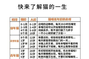 猫咪年龄与人类年龄对照表（探索猫咪年龄相对于人类年龄的神秘规律）