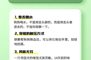 揭秘养狗“冷知识”（了解这些“冷知识”，让你成为专业的狗狗父母！）