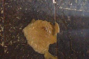 狗狗误吞肥皂水后多久能吐出来？（肥皂水进入狗狗体内后，它需要多长时间才能排出来？）