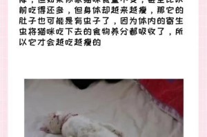 猫咪驱虫的时间和反应（了解猫咪驱虫的频率和常见反应，保护我们的爱宠）