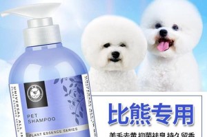 比熊为何一直吐黄色？（药物治疗是关键）
