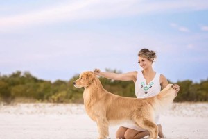 训练你的金毛犬（全面培养赛季金毛犬的行为和技能，让它成为家庭的好伙伴）