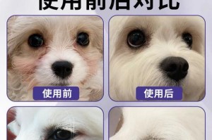 警惕！狗狗不能使用的眼药水（揭示常见眼药水对狗狗的危害，守护它们的视力健康）