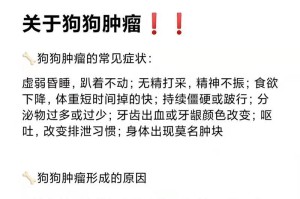 狗狗的怀孕周期及细节分析（从细节中看出狗狗的怀孕周期和症状变化）