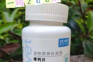 幼犬吃钙片的吸收时间及注意事项