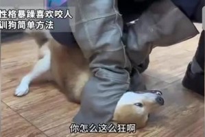 为什么狗喜欢咬我手？（探索狗咬人行为的原因和解决方法）