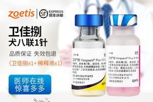 六联疫苗（全面保护健康，六联疫苗助您远离传染病）