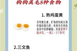 如何解决狗狗毛发变黄问题（有效方法让你的爱犬恢复亮丽毛色）