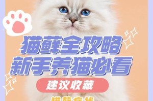 预防和治疗猫藓的方法（保持良好卫生习惯，提早发现并治疗猫藓）