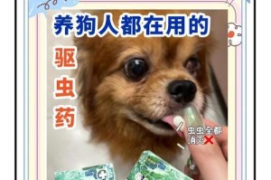 狗狗驱虫的注意事项及费用一览（了解狗狗驱虫的正确方法和费用计划，保障宠物健康）