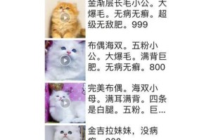 猫咪生产后的饮食需求（了解猫咪产后饮食的重要性和如何满足其需求）