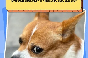狗的神奇直觉（以狗为例，探索动物在地震前的明显反常行为）