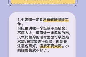 如何照顾一个月大的小猫（关注营养、环境和健康，助其茁壮成长）