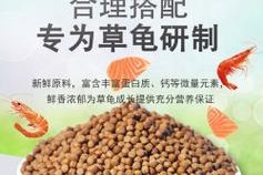 探索乌龟饲料的种类与选择（乌龟饲料，了解正确选择的重要性）