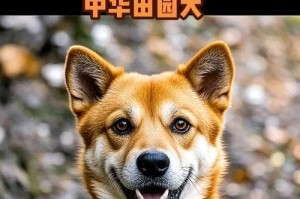 了解中华田园犬品系的多样性（探索中华田园犬的不同品系及其特点）