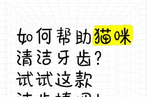 猫咪牙齿保健的重要性（如何正确给猫咪刷牙，让它们拥有健康的牙齿）