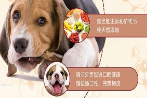 金毛口臭的原因及解决办法（彻底告别金毛口臭，让你的宠物更健康！）