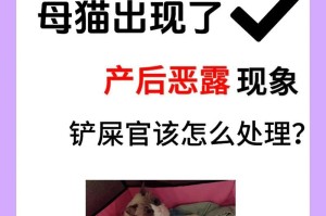 猫咪产后喂养指南（母猫产后饮食与营养需求解析）