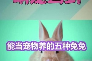 探索最适合的宠物选择（比较优秀的宠物类型及特点）