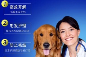 如何给狗顺毛（有效的顺毛方法和时间周期）