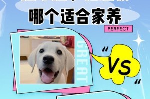 拉布拉多犬——理想的家庭宠物选择（亲切友善、活力四溢的宠物伴侣）