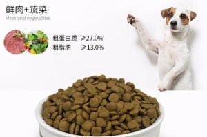 七个月大哈士奇的药物需求（了解哈士奇在七个月大时的药物需求，保证宠物健康成长）