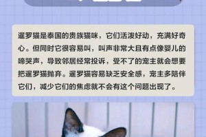 选择一只性价比高的猫咪（推荐多种性价比高的猫咪品种）