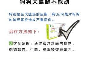犬瘟康复（了解犬瘟康复关键症状及有效治疗方法）