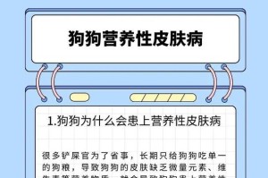 为你的狗狗提供健康营养的5种食物（探索适合狗狗的健康食品，让它们充满活力）