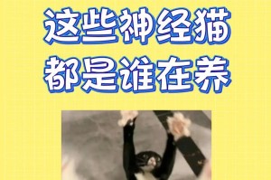 守护人类心灵的温暖小伙伴——猫（以最通人性的方式陪伴我们的猫咪）